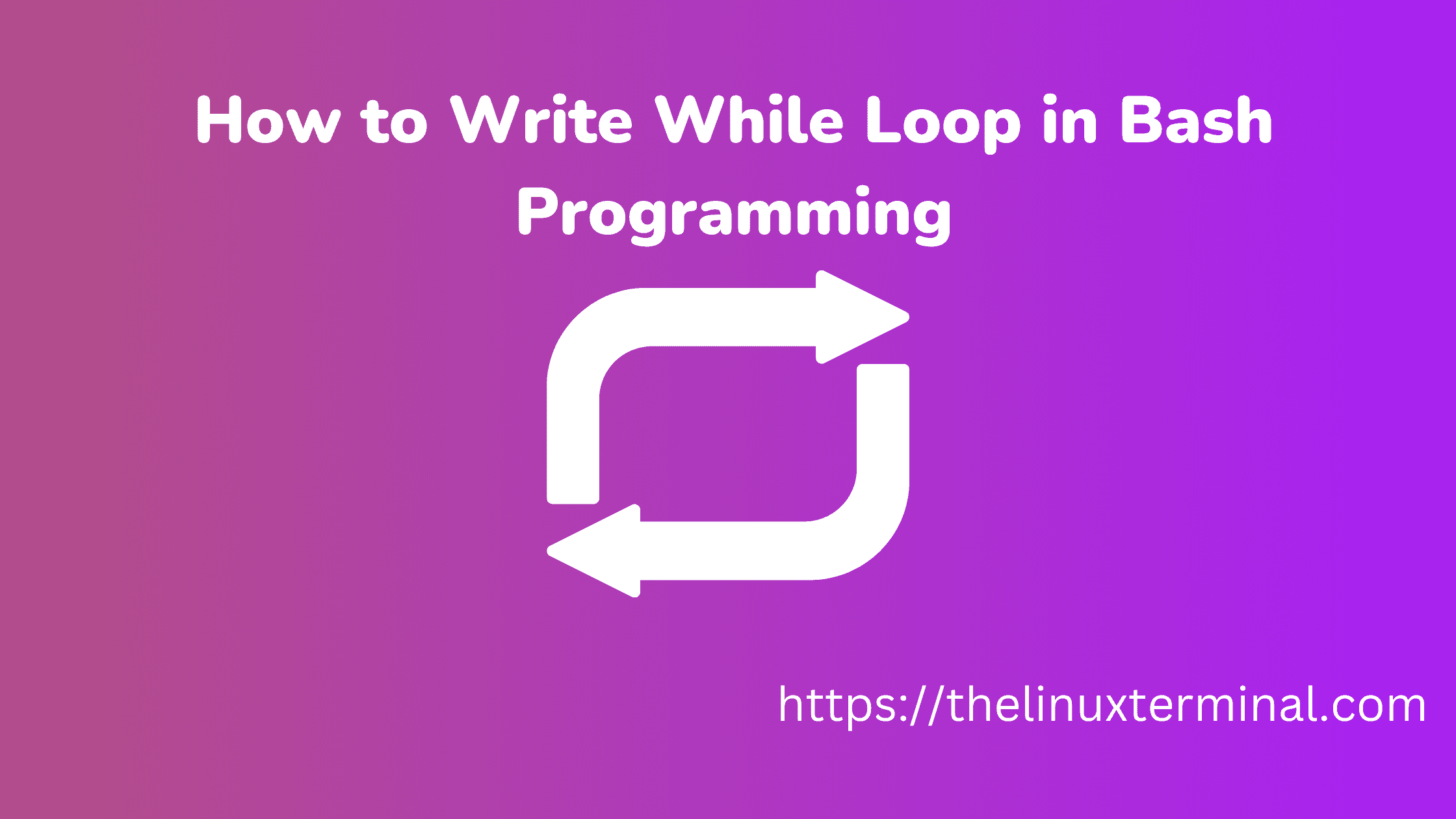 How to Write While Loop in Bash Programming